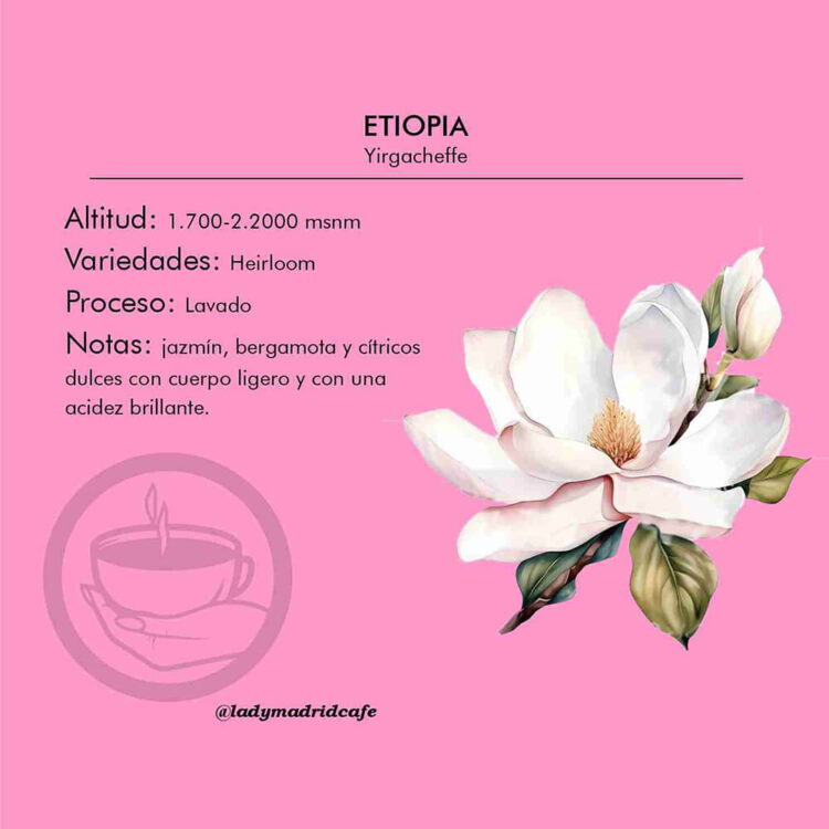 Café Etiopía Yirgacheffe | 250g | 85pts SCA